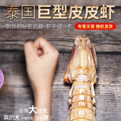 黄骅港纯野生梭子蟹2-3两