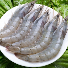 新鲜大虾鲜活超大海鲜水产基尾虾青虾特大对虾海虾速冻虾白虾