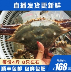 【4斤装】舟山梭子蟹鲜活大螃蟹特大海鲜水产鲜活梭子蟹大公母蟹