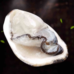 生蚝牡蛎海鲜鲜活海蛎子新鲜即食超大生蚝肉海鲜水产贝类现挖牡蛎